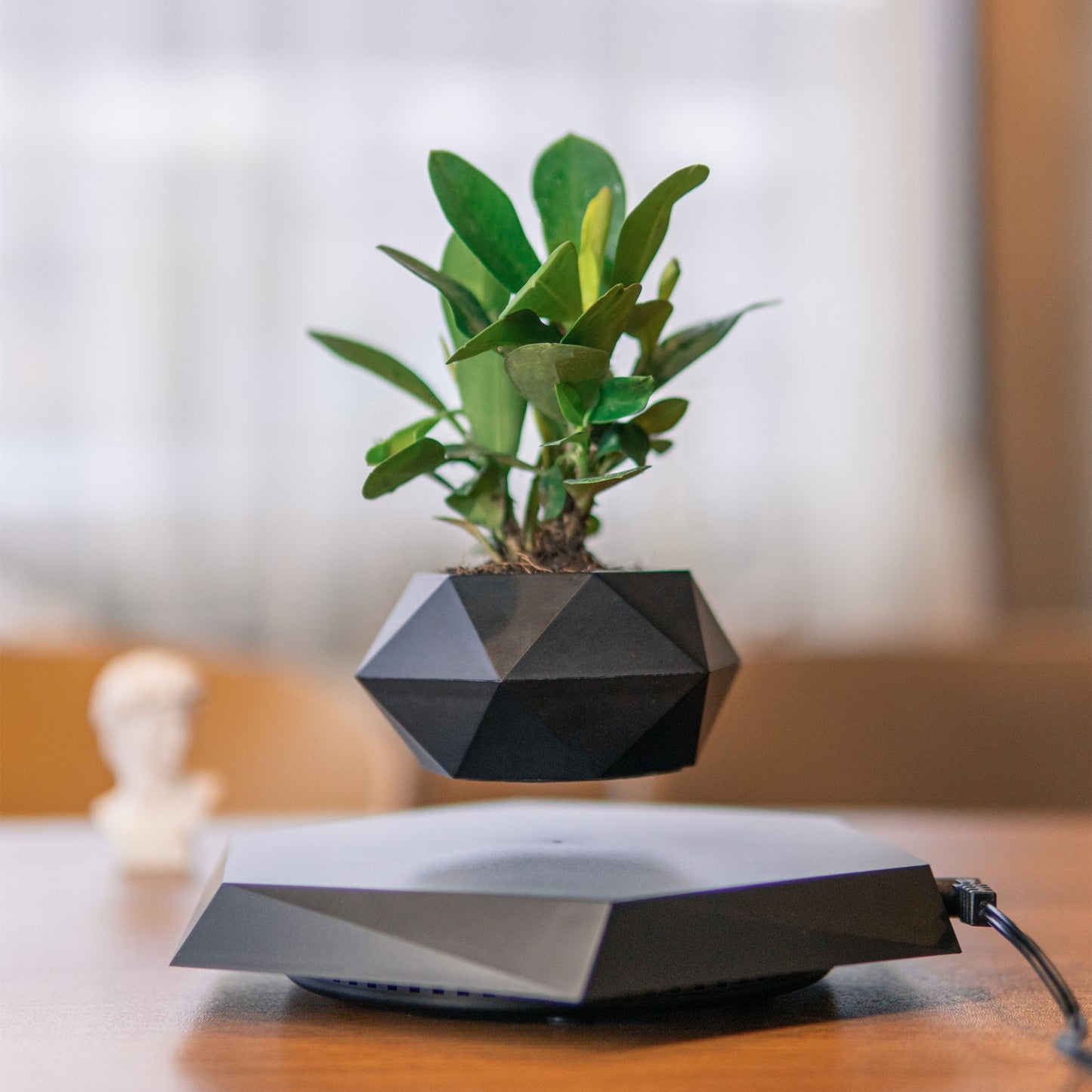 Levitating Air Bonsai Pot